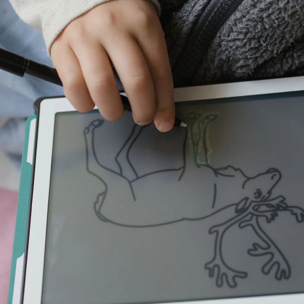 KIDYDRAW-MINI - Dieren van over de wereld