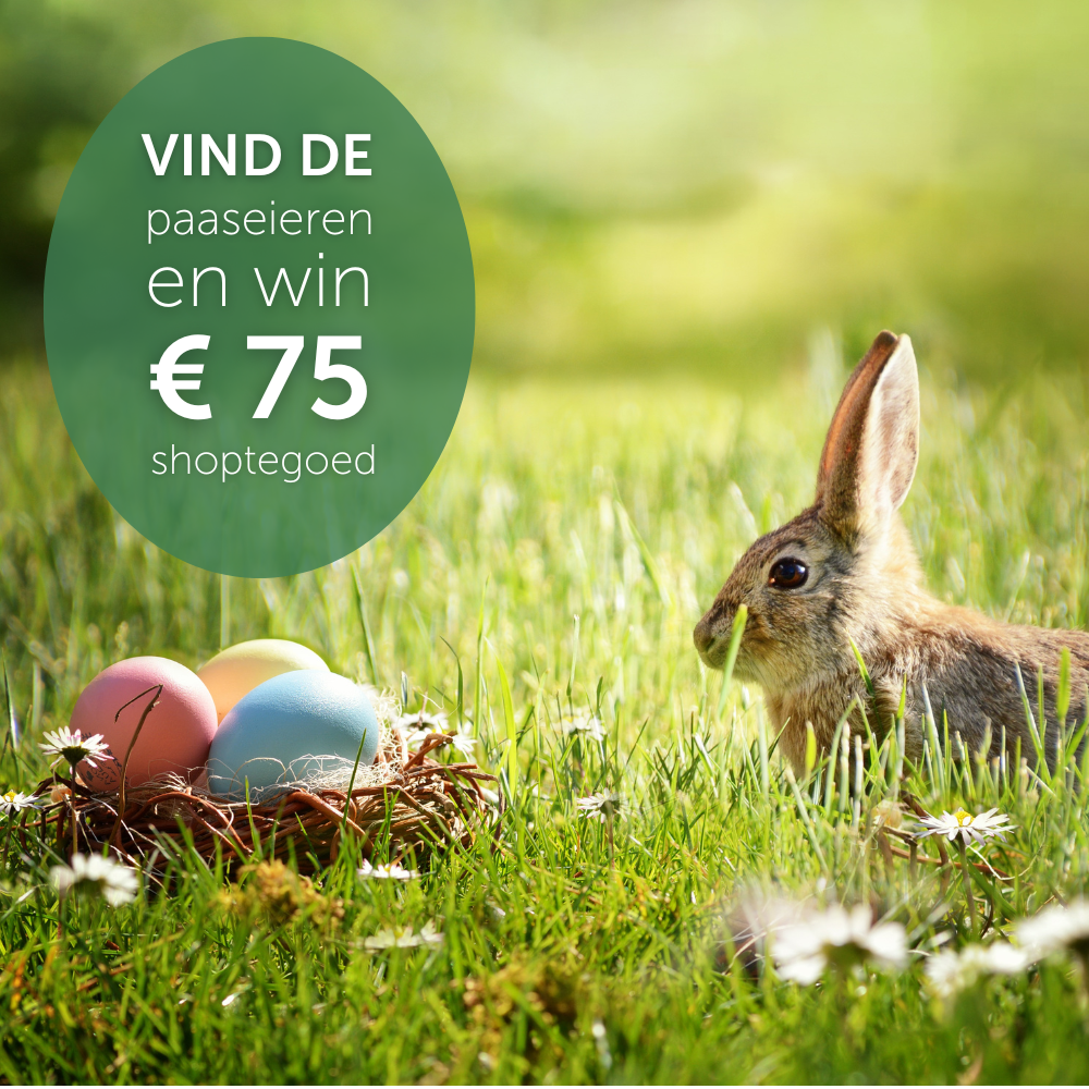 Win meerdere prijzen op Ncrvgidsnl Ncrvgidsnl