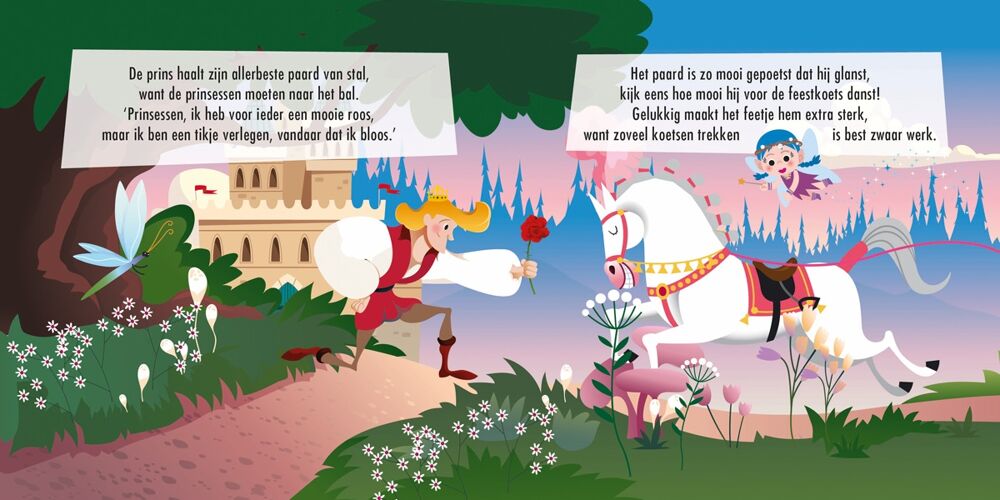 Puzzelkoets Prinsessen