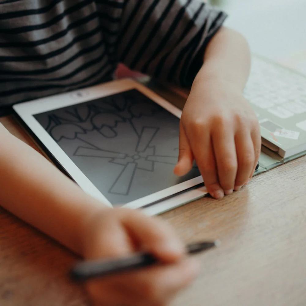 KIDYDRAW-MINI - Dieren van over de wereld