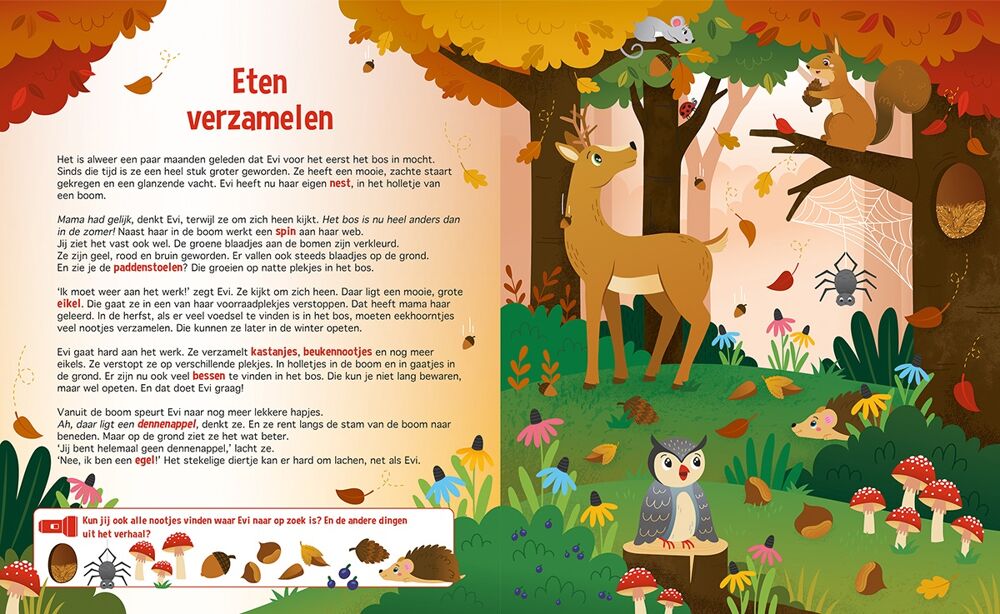 Speuren in het bos