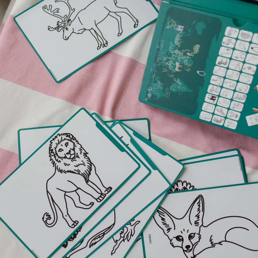 KIDYDRAW-MINI - Dieren van over de wereld