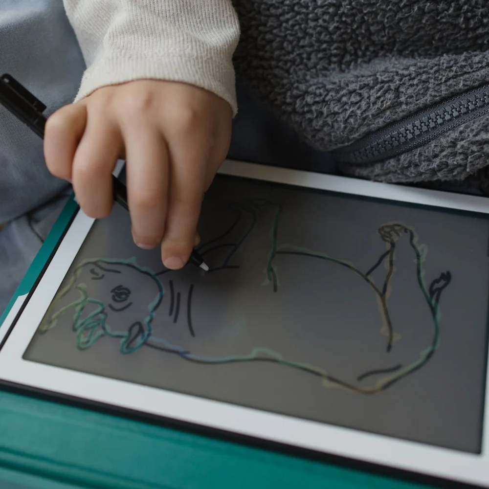 KIDYDRAW-MINI - Dieren van over de wereld