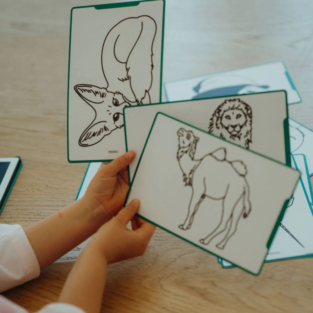 Refill KIDYDRAW-MINI - Dieren van over de wereld + Oceanen en piraten