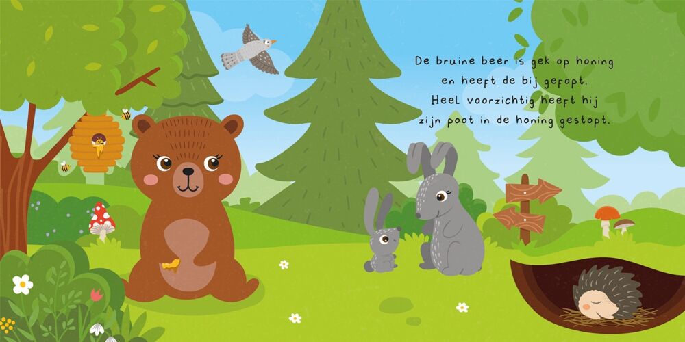 Kun je mij vinden? In het bos