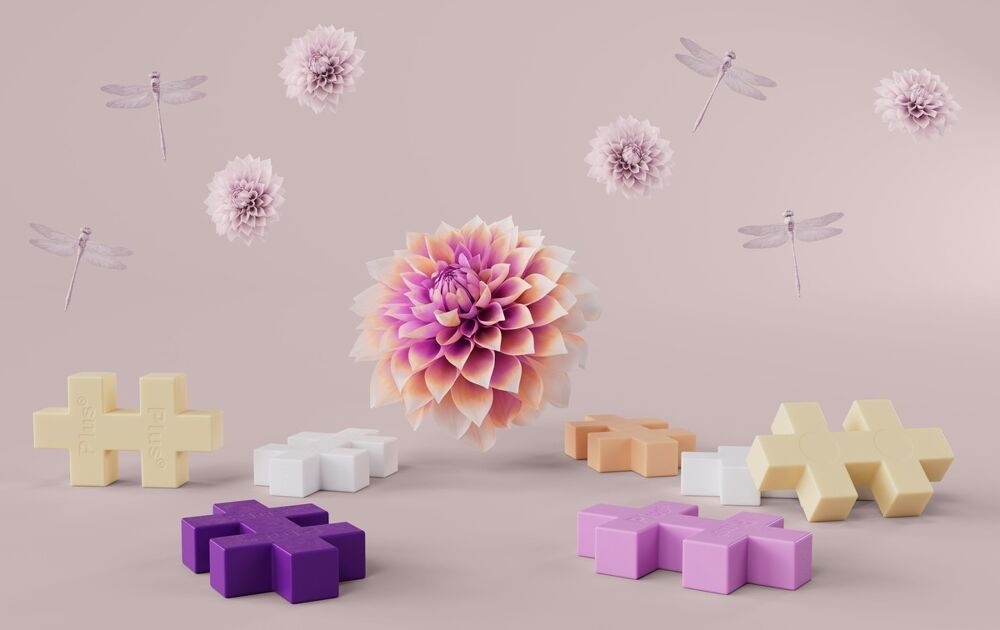 Big Plus-Plus Bloom (100st)